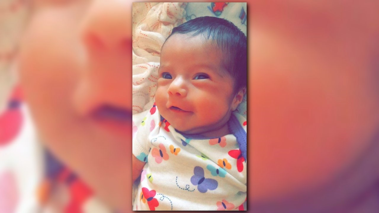 Father of Greywind's baby awarded legal custody